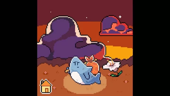 我的可爱小鲨鱼图1