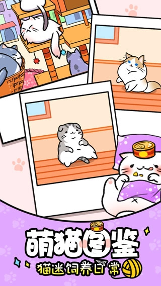 猫咪公寓中文版5