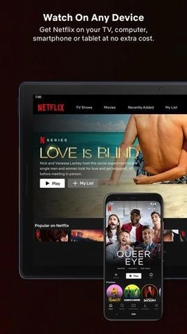 netflix最新版4