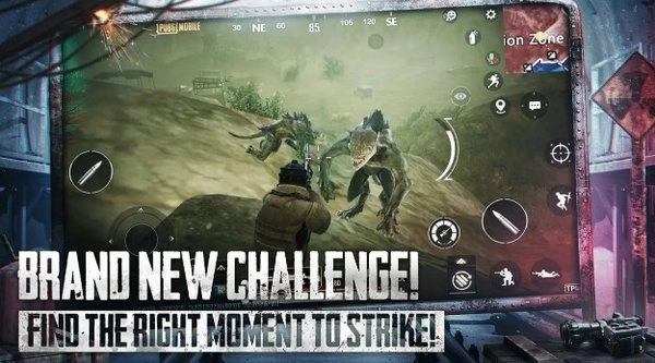 PUBG国际服最新版截图2
