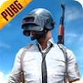pubg国际服最新版