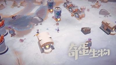 奇蛋生物(4)