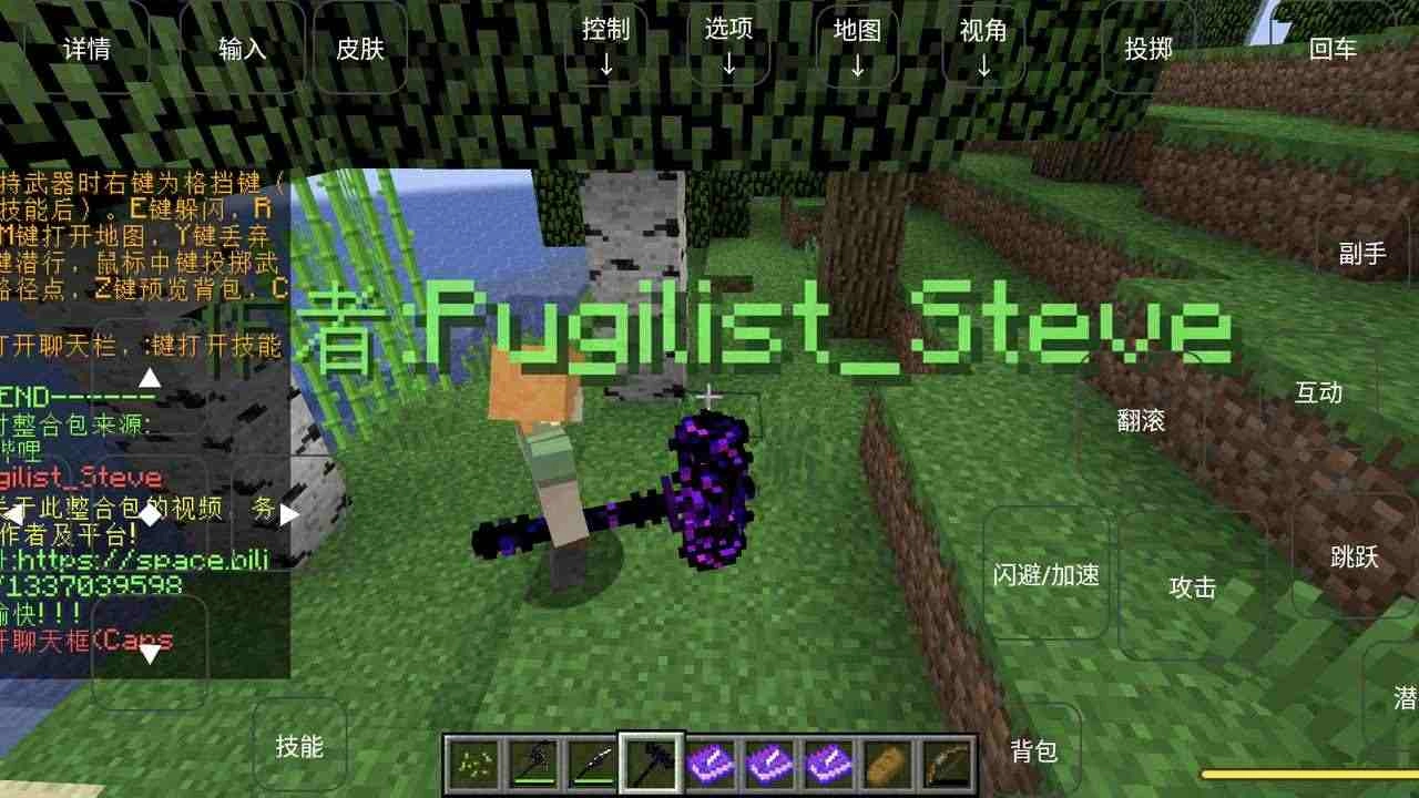 我的世界烦人的村民(2)