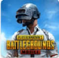 pubg地铁逃生正版