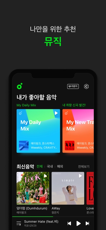 melon2