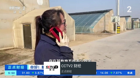 我的电视