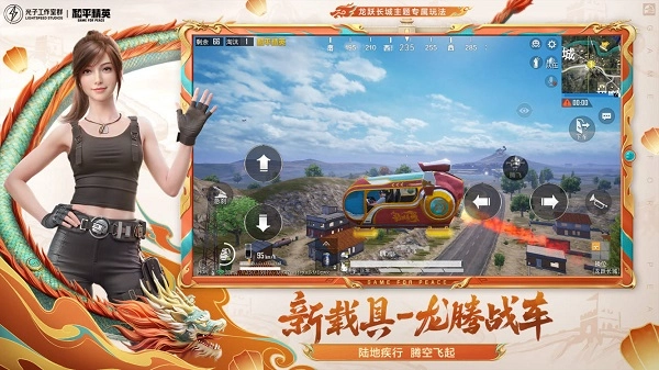 和平精英国际版(2)