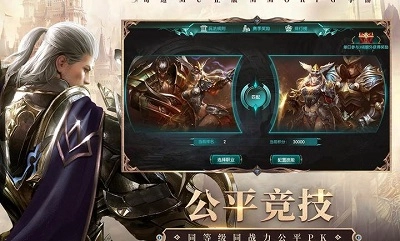 奇迹：最强者游戏绿色版图2