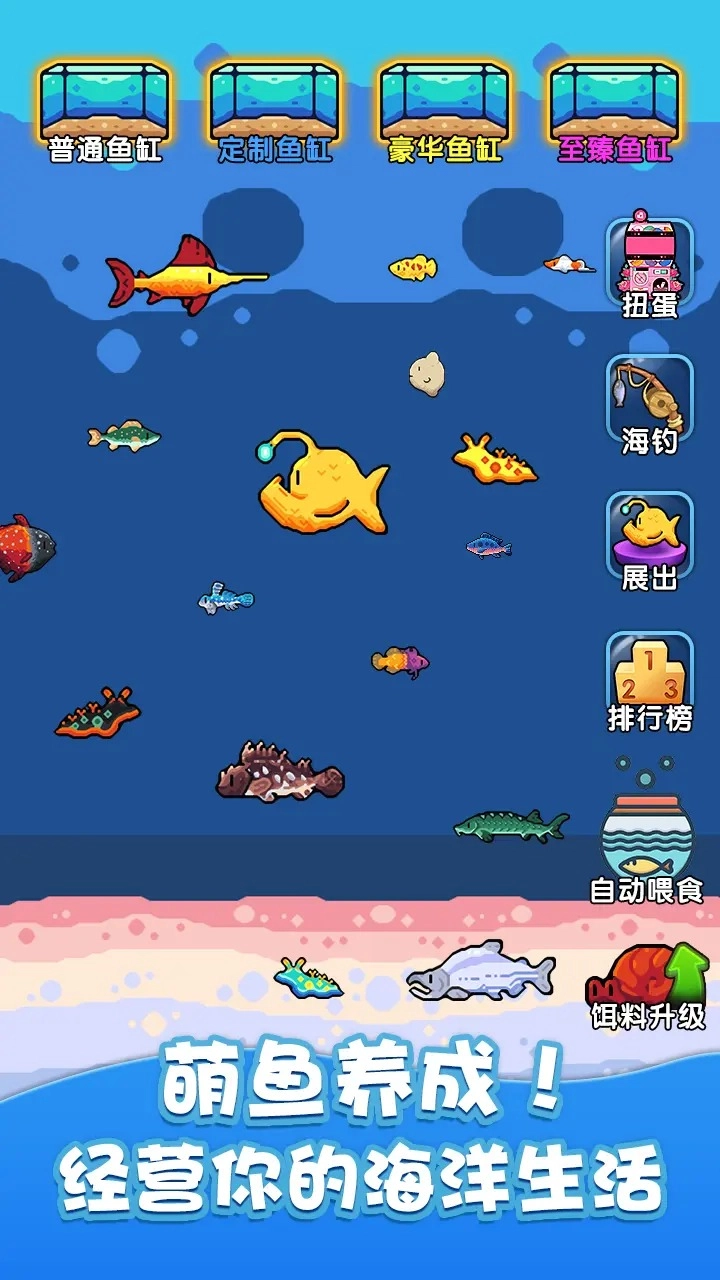 快来养鱼3