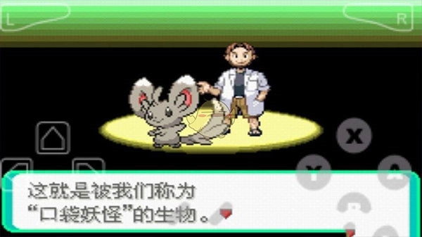 口袋妖怪：漆黑的魅影-图3
