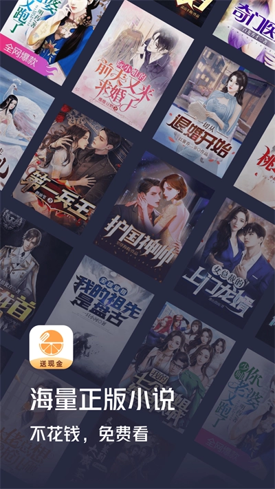 青橙小说图4