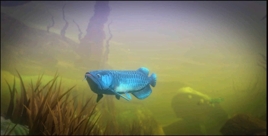 海底大猎杀最新版(2)