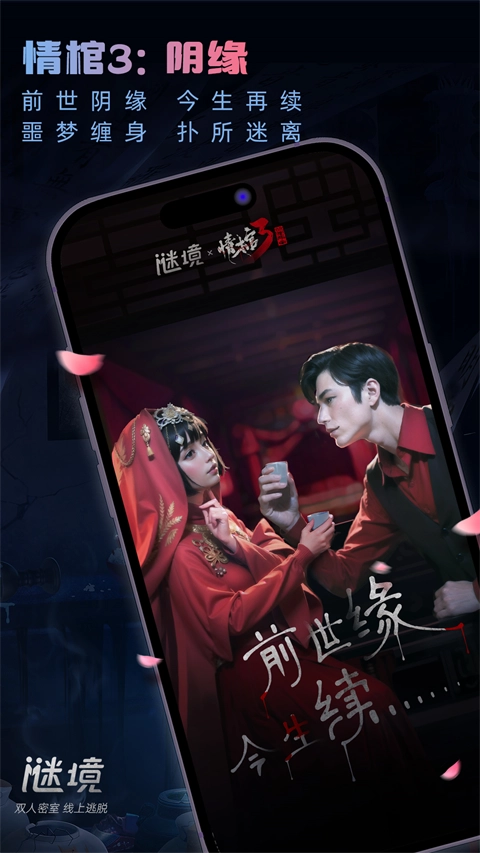 谜境正版