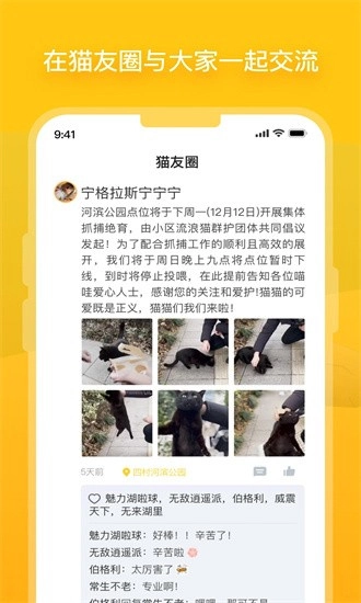 哈啰街猫图1