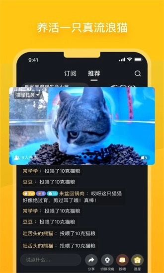 哈啰街猫图4