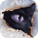 黑猫奇闻社手机版