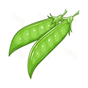 扁豆小说手机正版