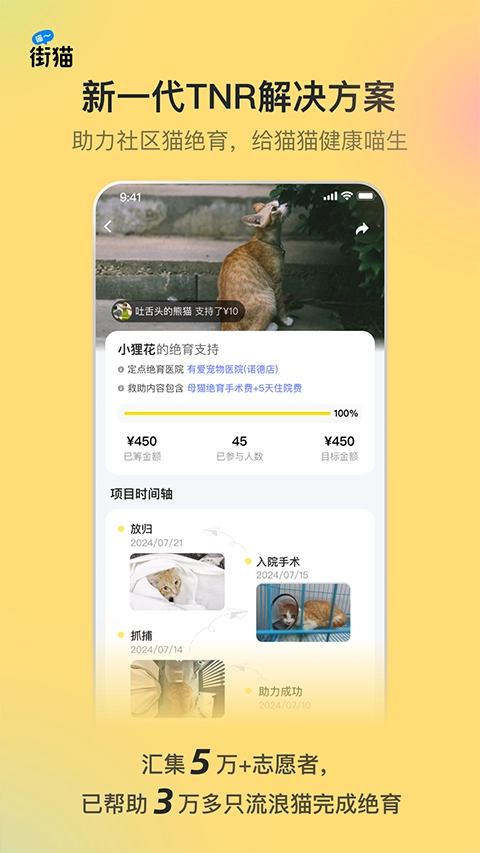 哈啰街猫(1)
