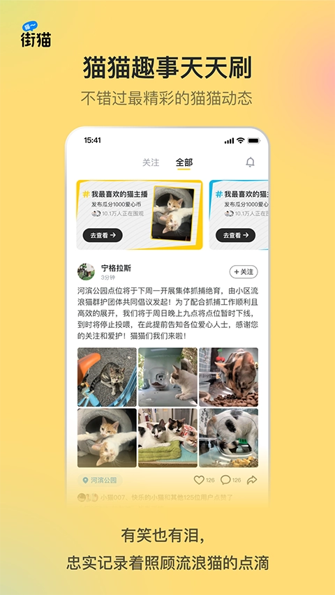 哈啰街猫(2)