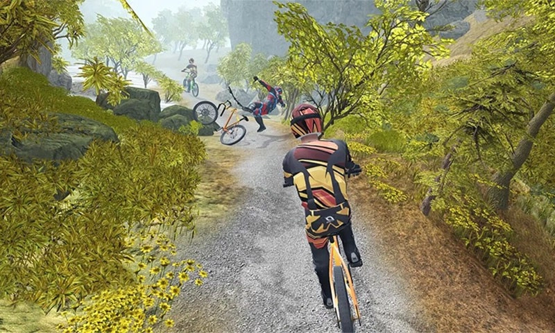 模拟登山自行车图1