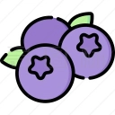 藍莓音樂最新版