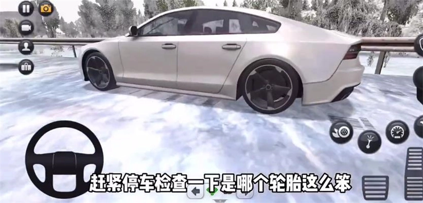 终极卡车模拟器手机版(4)