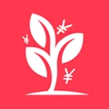 省芽 V2.7.37