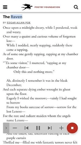 安卓无障碍套件图4