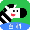 斑马百科安卓版 V2.17.0