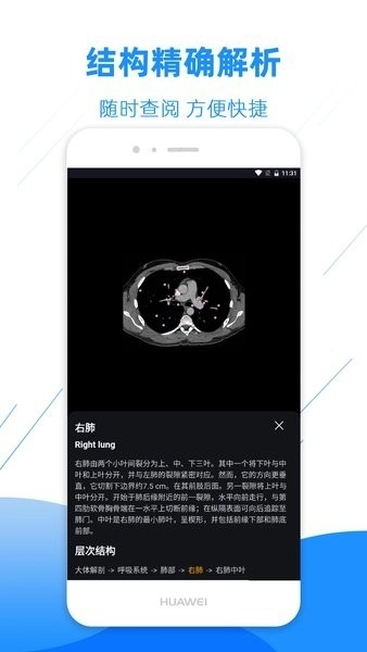 影像解剖图谱图3