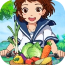 新小森生活正版 v4.0.1