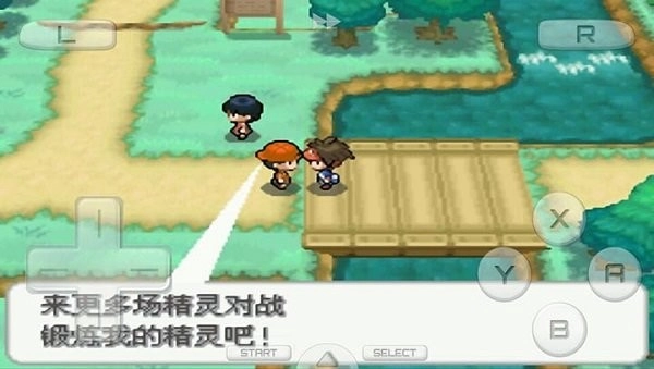 口袋妖怪黑2图2