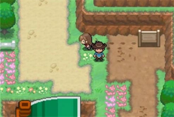 口袋妖怪蛋白石(2)