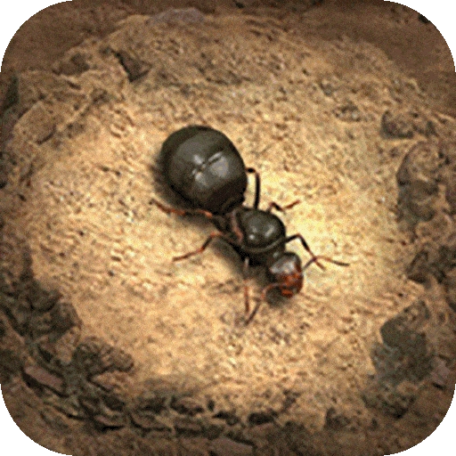 小小蚁国国际服 