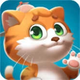 我的皮皮猫 