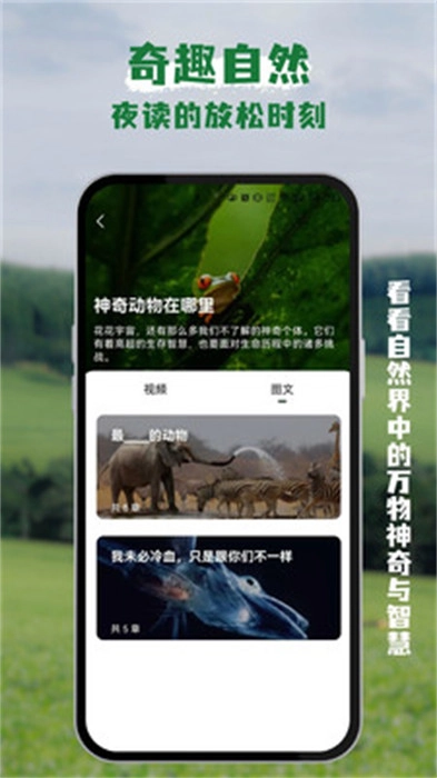 熊猫客截图3