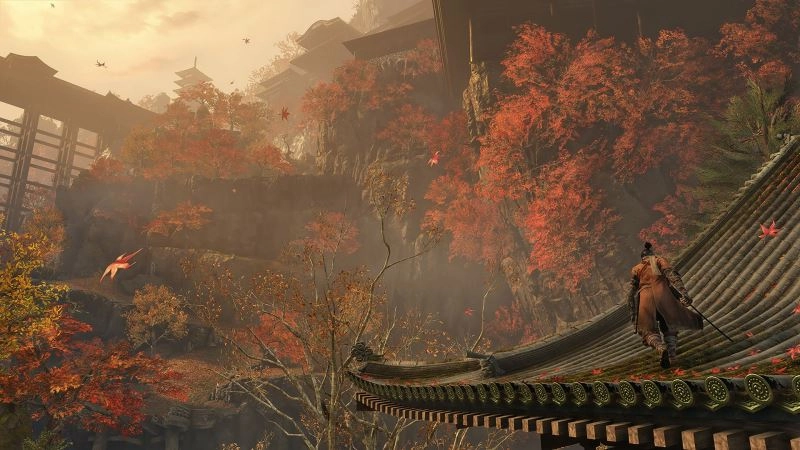只狼影逝二度图3