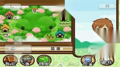 牧场物语双子村汉化版图3