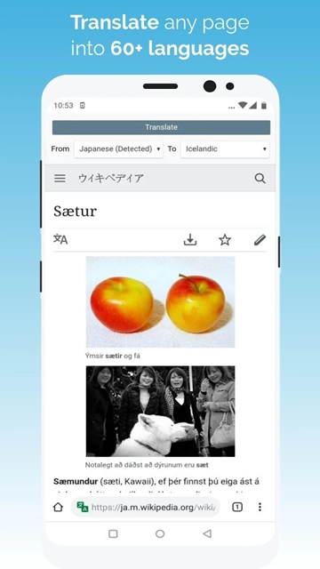 kiwi手机浏览器