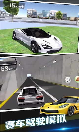 3d驾驶课2手机版截图4