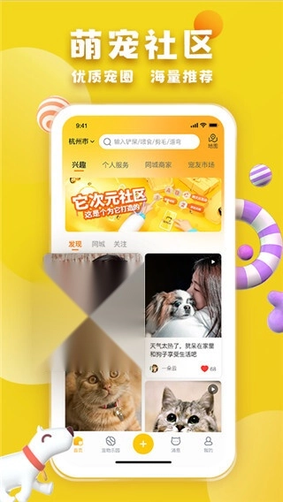 宠胖胖无广告版图1