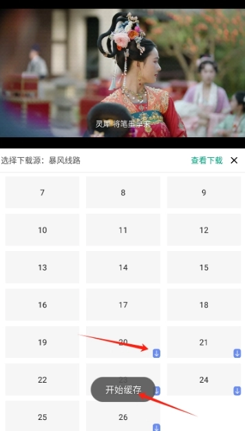 大成影院追剧截图3