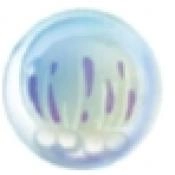 合成大水母正式版