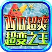 西瓜超爽超变之王