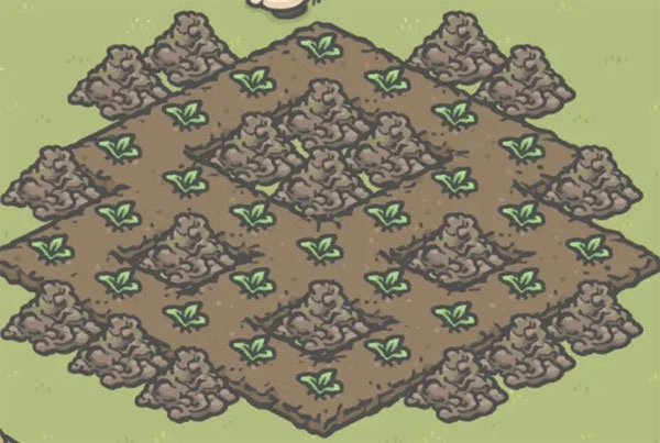 月兔漫游国际服