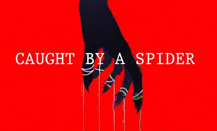 被蜘蛛抓住了中文版