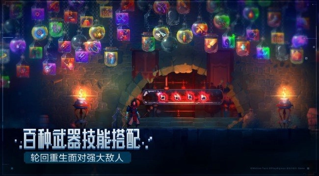 重生细胞国际服(3)