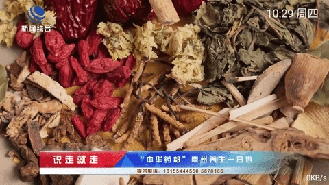 蓝猫TV电视直播截图2