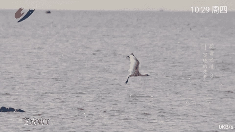 蓝猫TV电视直播截图1