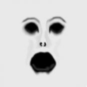 斯伦德里纳中文版 v6.0-2438415